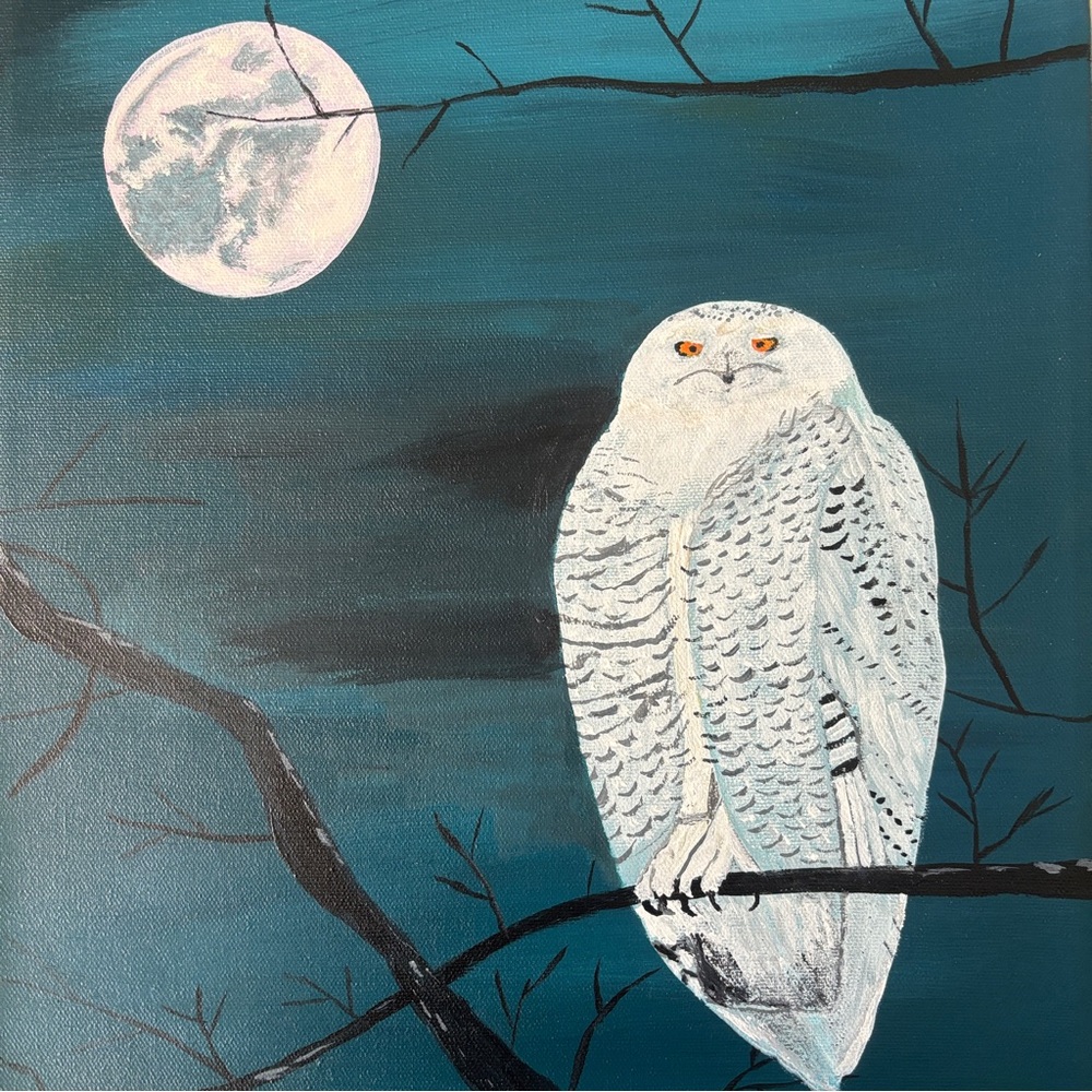 Owl of light acrylic canvas Painting Moonlit Sky original big moon teal blue sky